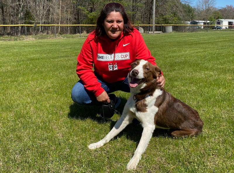 Hot diggity: Goose dog makes a splash at new golf course home Golf course border collie