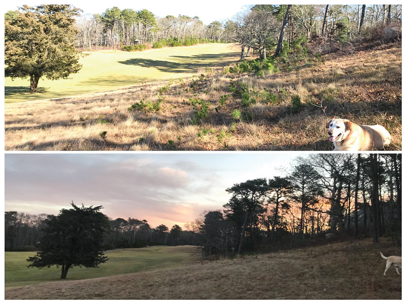Cape crusader: Matthew Crowther, CGCS Mink Meadows Golf Club