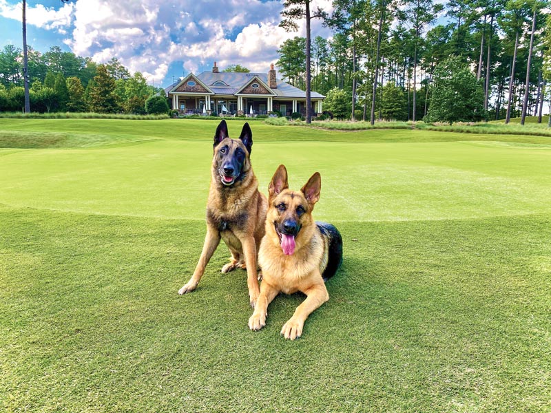 Old Chatham Golf Club