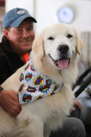 Golden Retriever George Named 2020 Dog Of The Year Gcmonline Com