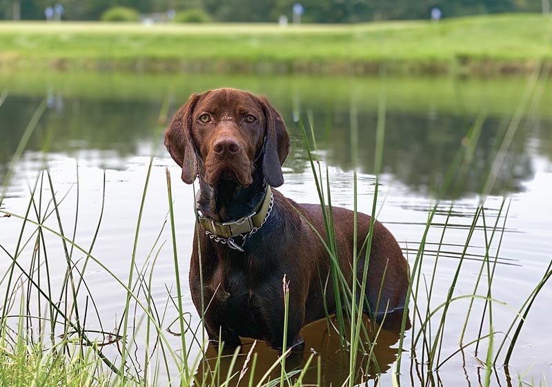 Scituate Country Club