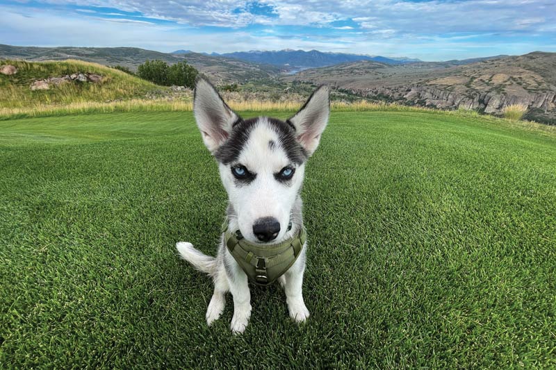 Victory Ranch Golf Course