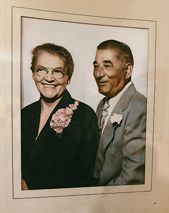 CCIV fertilizer granules