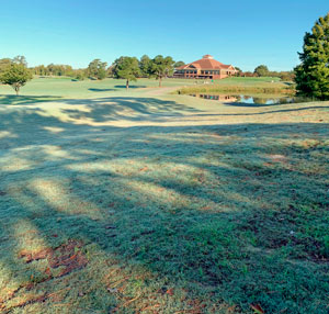 Stress to turfgrass