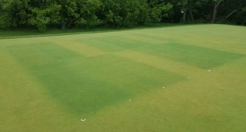 Managing stress in turfgrass Turfgrass research Rutgers