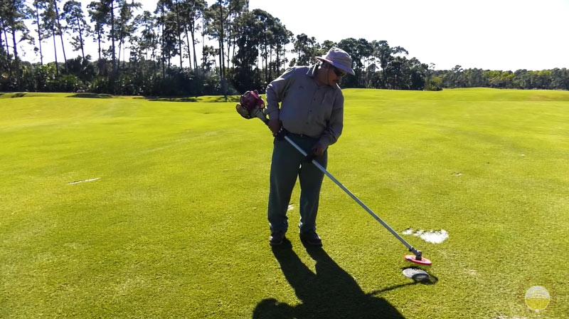 String trimmer safety