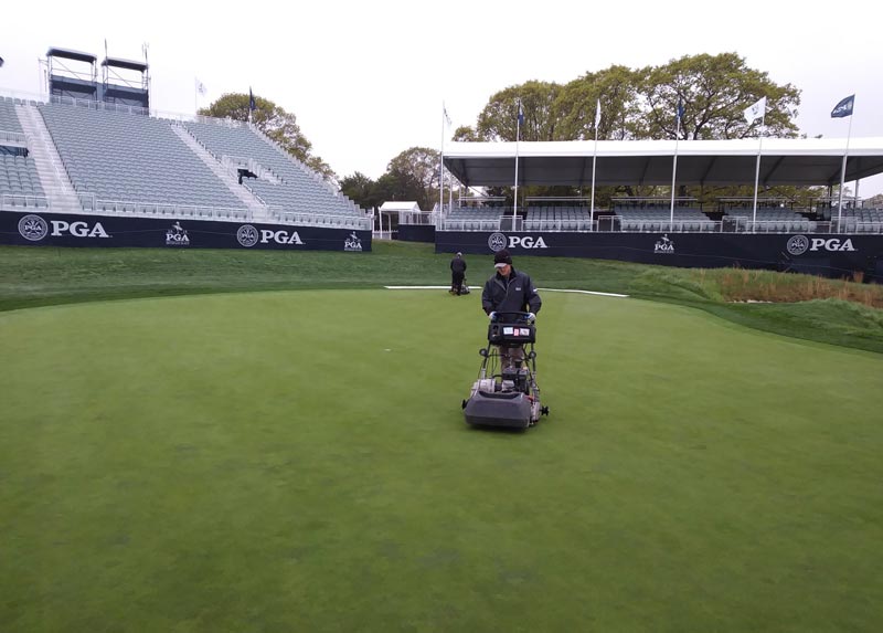 Bethpage greens