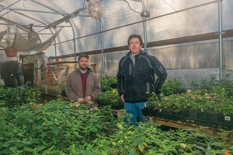 Bethpage horticulture