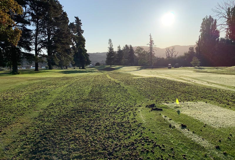 Fairway aerification