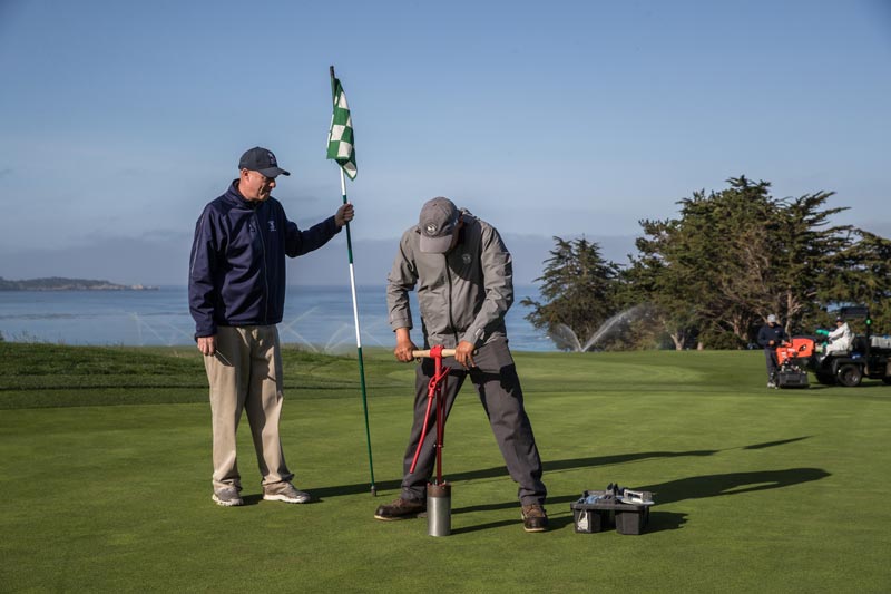 US Open green