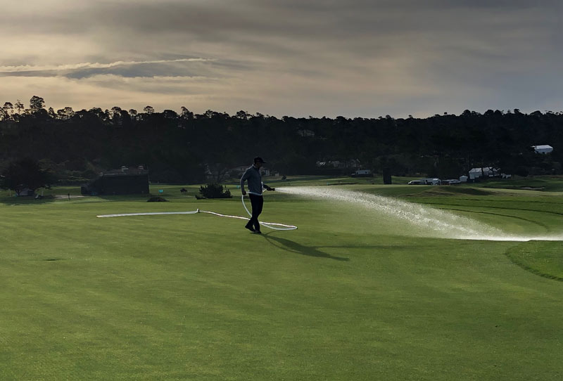 Watering Pebble Beach