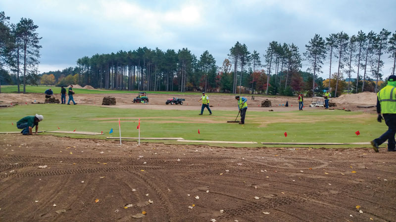 Imprelis damage golf course