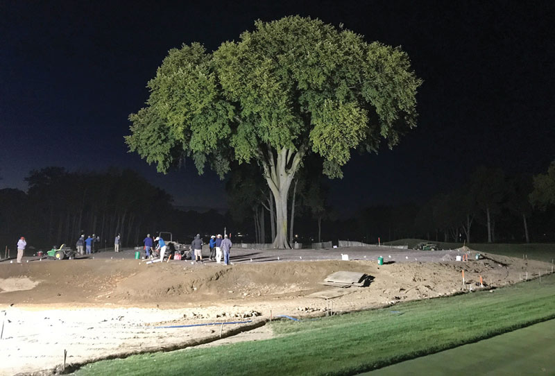 Restoration Winged Foot