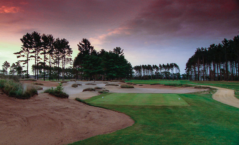 Stevens Point Country Club reborn after Imprelis damage Stevens Point Country Club