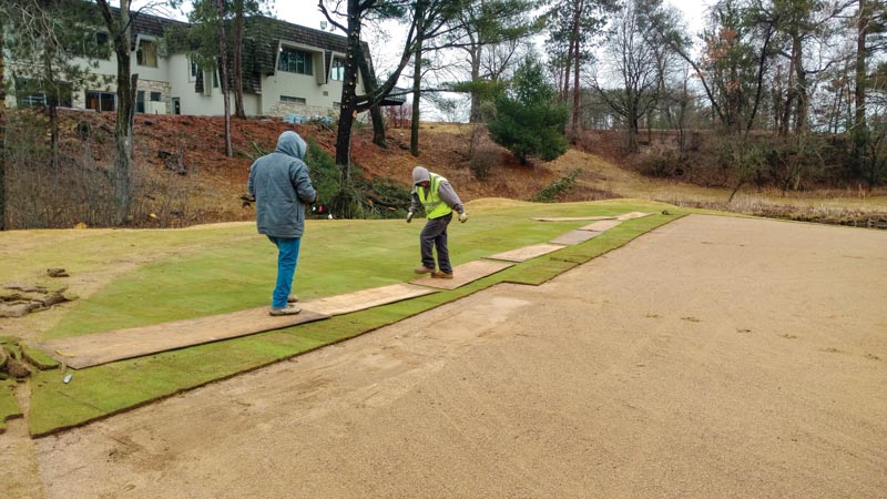 Stevens Point Country Club reborn after Imprelis damage Stevens Point golf course
