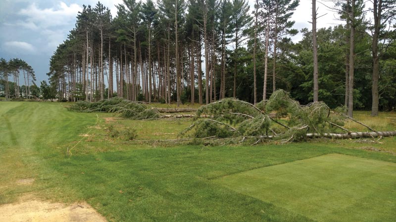 Stevens Point Country Club reborn after Imprelis damage Stevens Point renovation