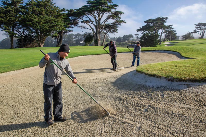 TPC Harding Park bunkers