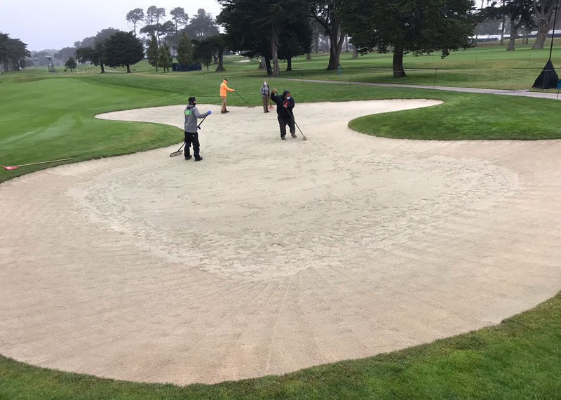 TPC Harding Park crew