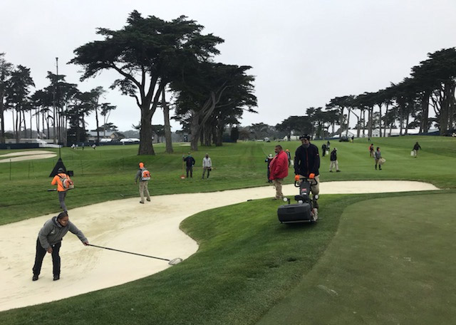 TPC Harding Park golf course maintenance