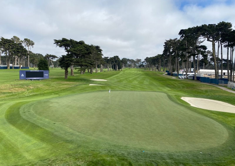 TPC Harding Park green