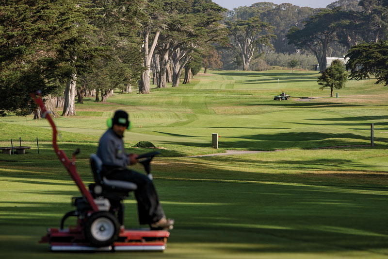 TPC Harding Park greens