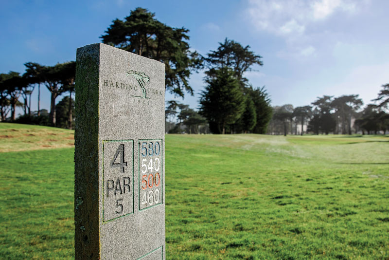 TPC Harding Park