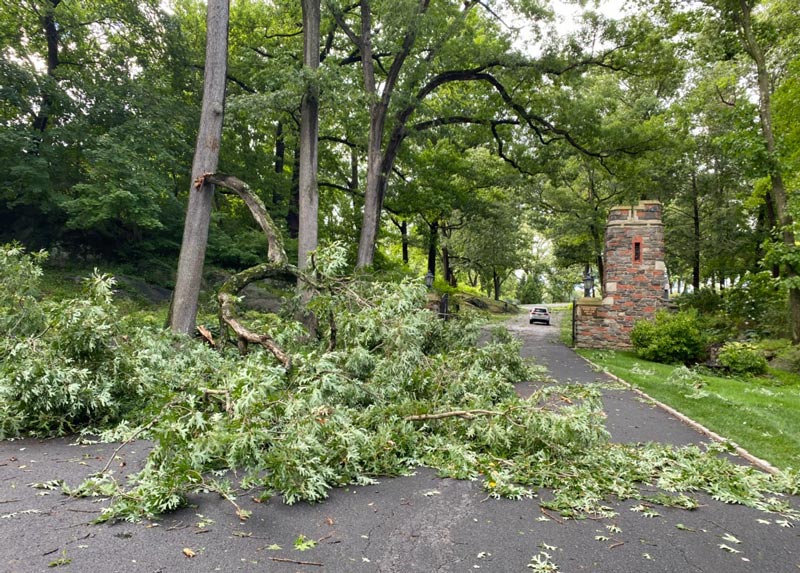 Winged Foot Isaias damage