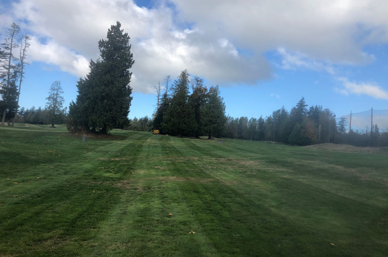 Bald Eagle Golf Club’s pandemic purgatory Golf course Point Roberts