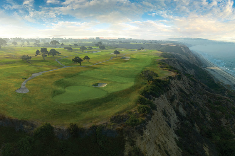 Grass Torrey Pines