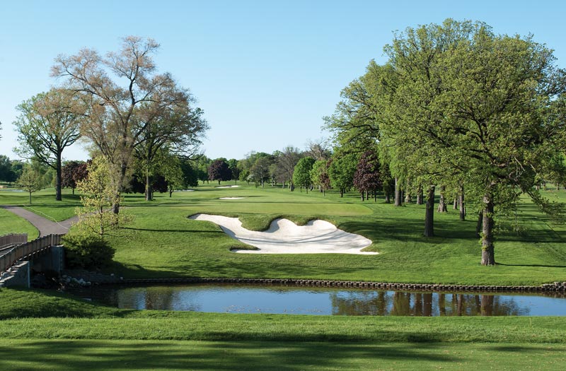 Medinah camel bunker