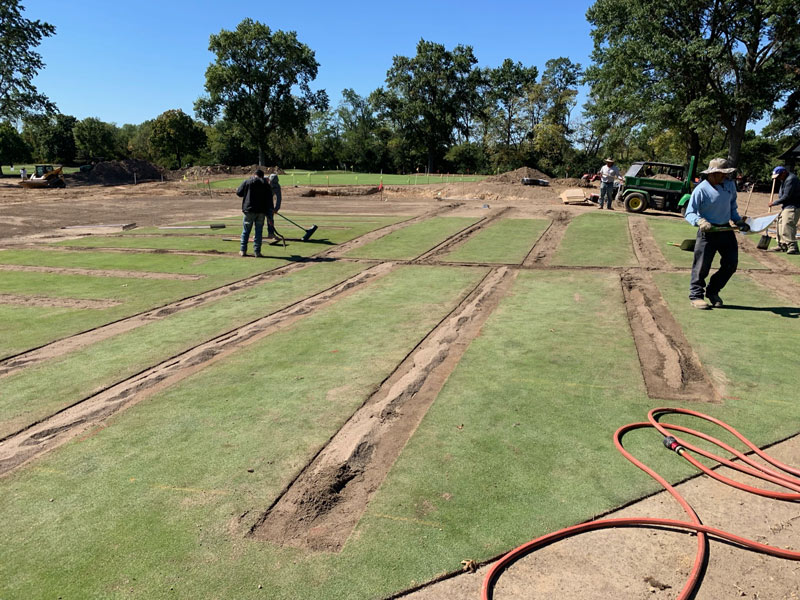 Sod golf course drainage