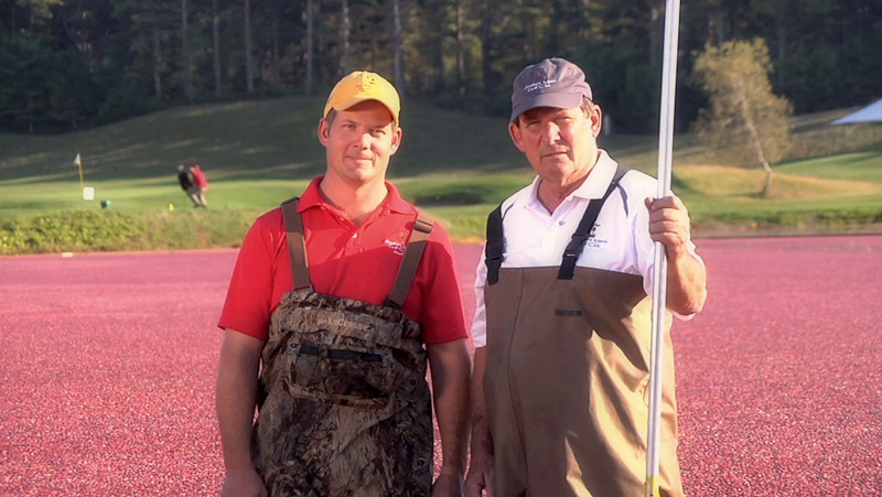 A fruitful business: Southers Marsh Golf Club Stearns cranberries Massachusetts