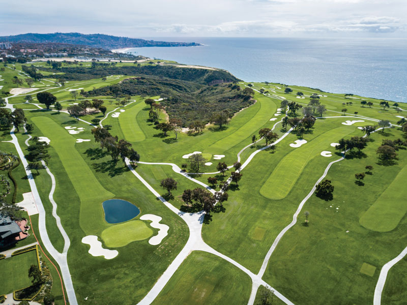 Torrey Pines Golf Course grass