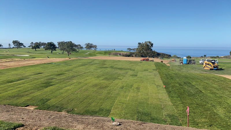 Team Torrey Pines and the 2021 U.S. Open Torrey Pines US Open
