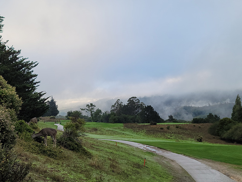 Crystal Springs hole no. 8