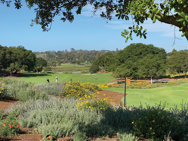 Native area at LaCumbre CC