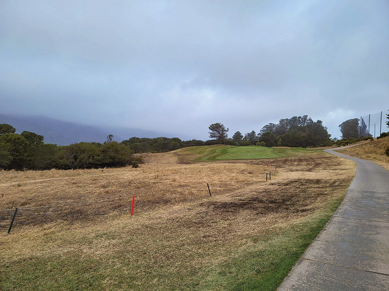 Crystal Springs hole no. 8 aerification process