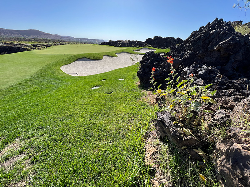 Black lava rock at Black Desert Resort