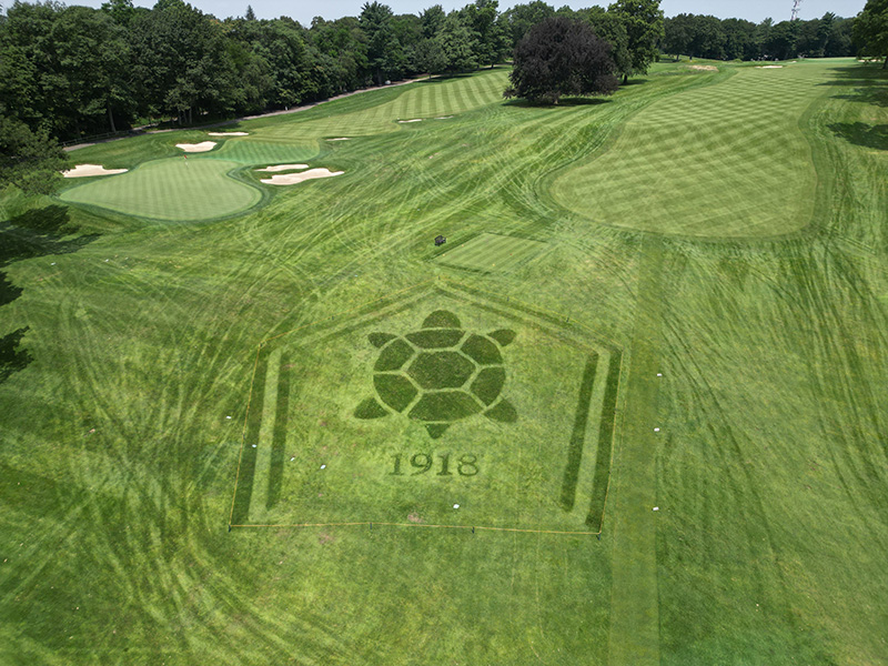 Belmont Country Club logo recreated on the turf. The logo is a turtle, with the year 1918, the date of the club's founding, below.