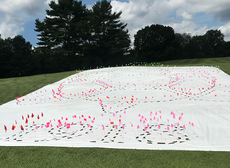 Belmont Country Club logo recreated on the turf. The logo is a turtle, with the year 1918, the date of the club's founding, below.