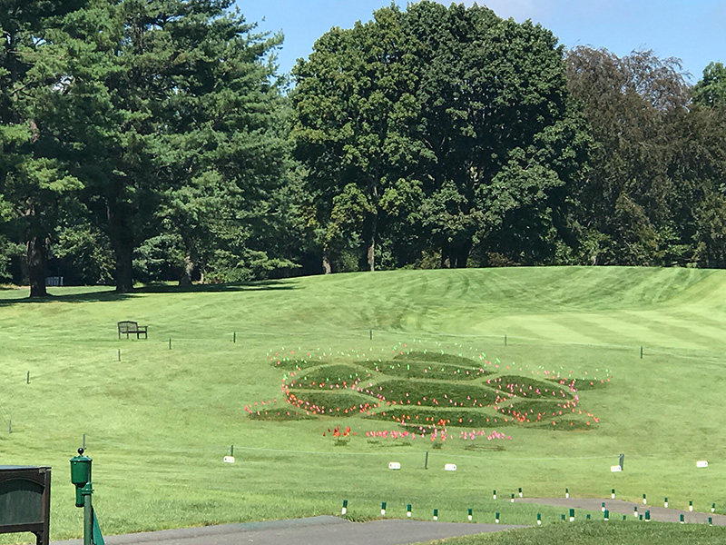 Belmont Country Club logo recreated on the turf. The logo is a turtle, with the year 1918, the date of the club's founding, below.