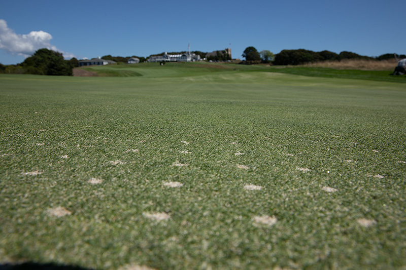 Aerated turf