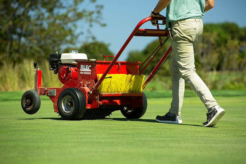 Seeding grass on a green