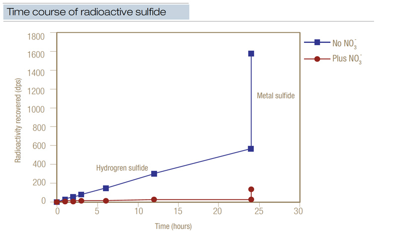 Radioactive sulfide turf