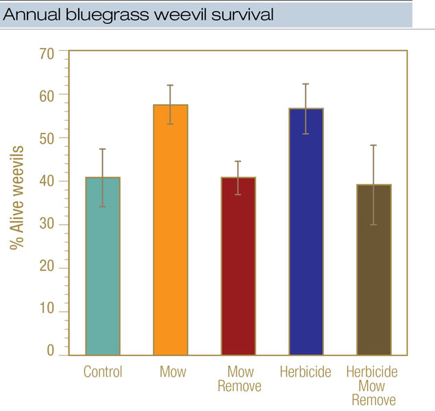 ABW survival