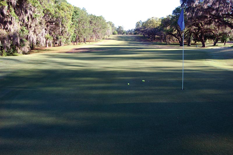 Bermudagrass: Know your hybrids Interspecific hybrid bermudagrasses