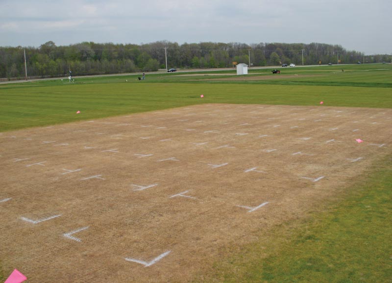 Techniques for turfgrass re-establishment following winterkill Research on winterkill