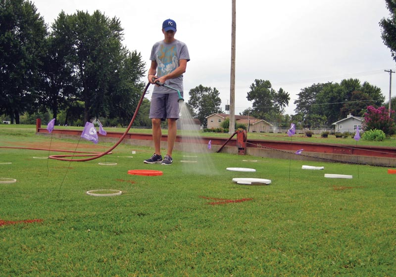 Turfgrass irrigation study