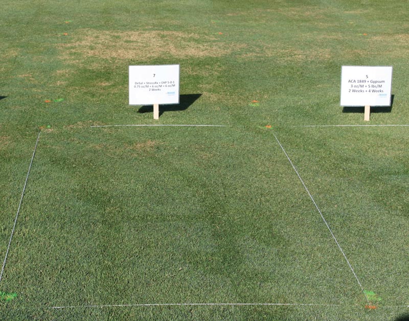 Products for alleviating irrigation salinity stress on turfgrass Bermudagrass salinity