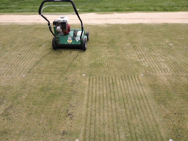 Creeping bentgrass aerification